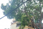 Cho thuê nhà ngõ 3 gác Kim Ngưu- Hai Bà Trưng Dt 40m2 - 5 tầng - Giá 15 Tr - Ở GĐ, VP, KD sạch sẽ